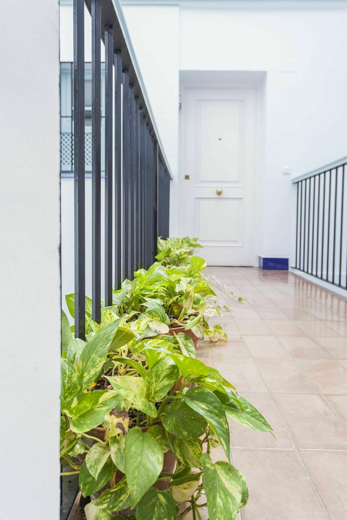 Santa Cruz Apartment Sevilla Exterior foto